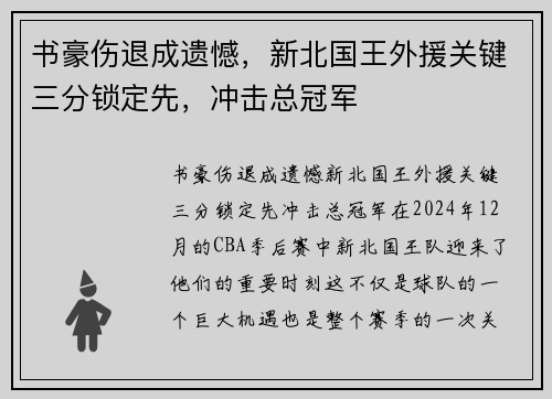 书豪伤退成遗憾，新北国王外援关键三分锁定先，冲击总冠军